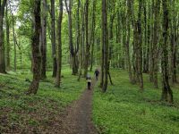 Stezka Českem - Bílé Karpaty