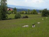 Stezka Českem - Bílé Karpaty