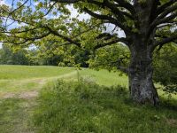 Stezka Českem - Bílé Karpaty