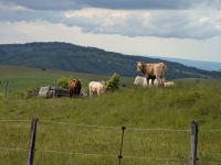 Stezka Českem - Bílé Karpaty
