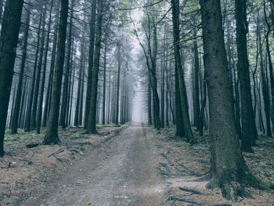 Stezka Českem - Bílé Karpaty